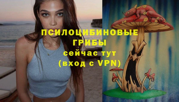 мяу мяу мука Навашино